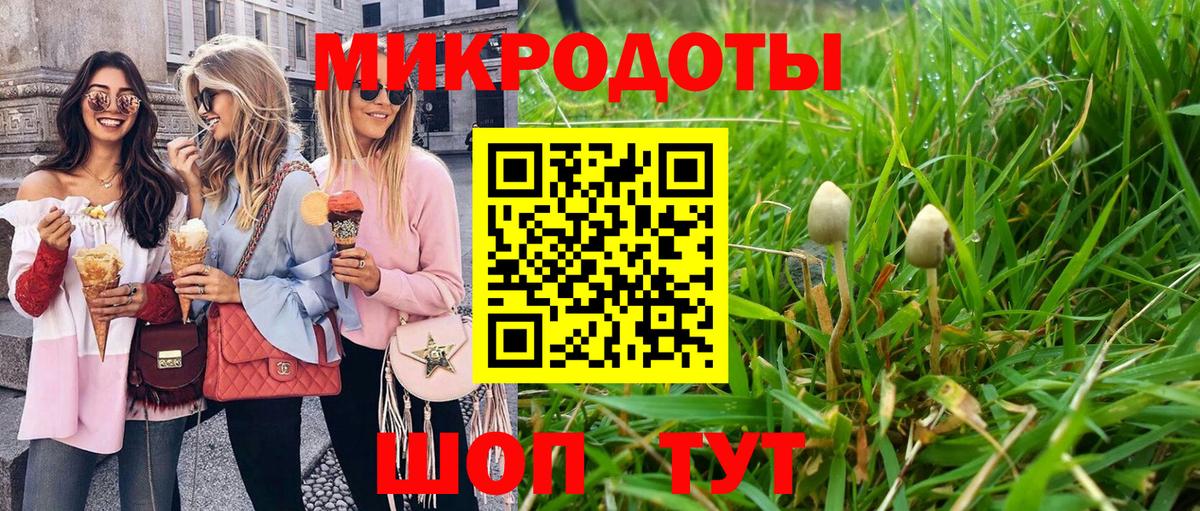 Галлюциногенные грибы прущие грибы Черкесск