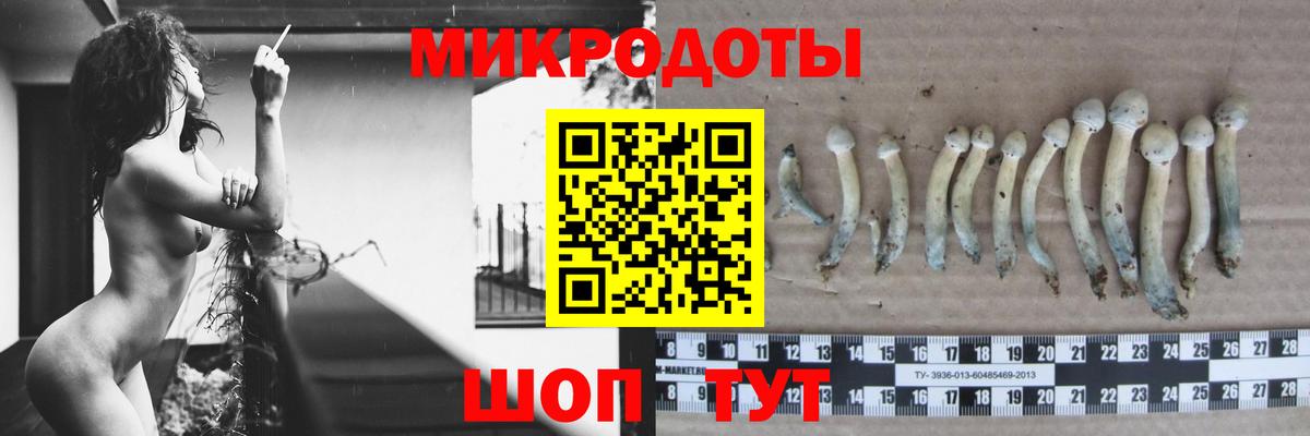 купить закладку  Псилоцибиновые грибы MAGIC MUSHROOMS  Вход с VPN  Черкесск 